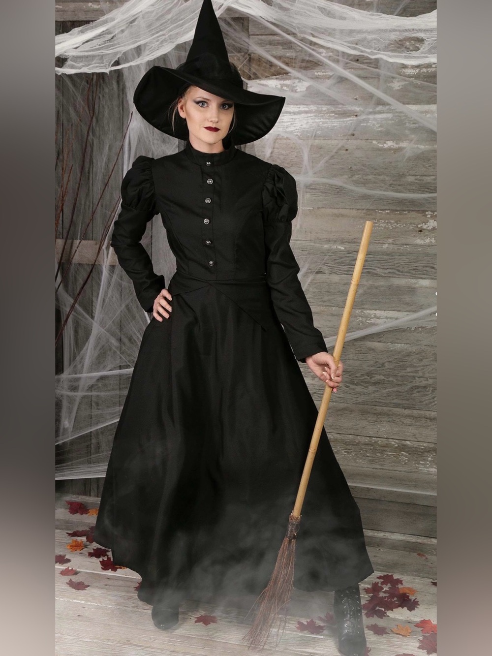 Women's Deluxe Witch Costume